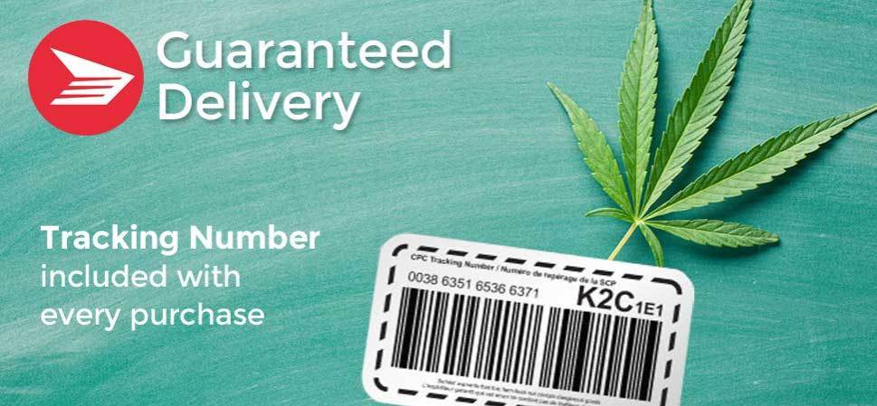 How does Delivery Guarantee work?